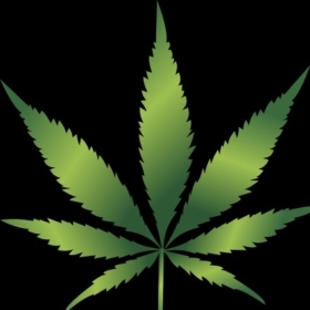 DandeLion2020