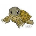 ToughTurtle