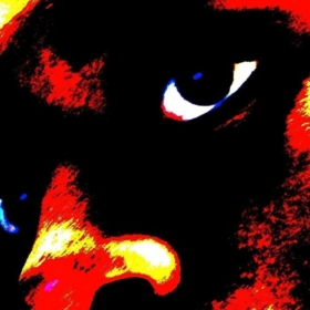 Harry_da_god