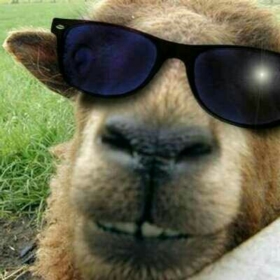 madgoat