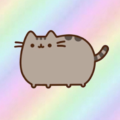 ayeitzkitty