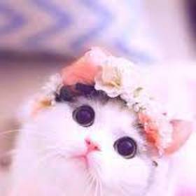 Bety_Hello2022