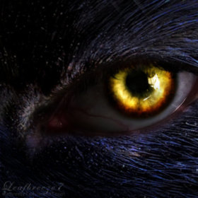 WhisperWerewolf