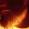 leonidas69