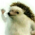SistineCapella