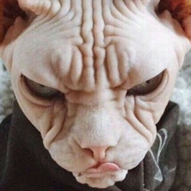 simplyjon