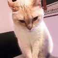 KatieNoor