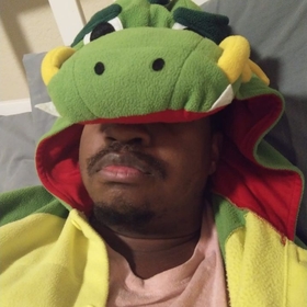 GuyInADinoOnesie