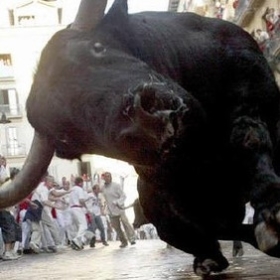 hugotoro21