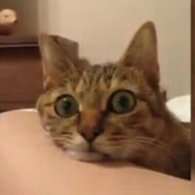 Titounix