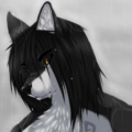 WolfVolkov