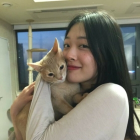 AngelSulli