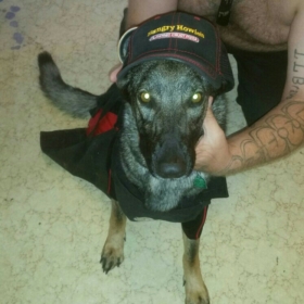 Obersharfurher83