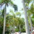 thsummer0807