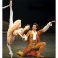 pointeFreak
