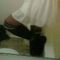 cottondesi