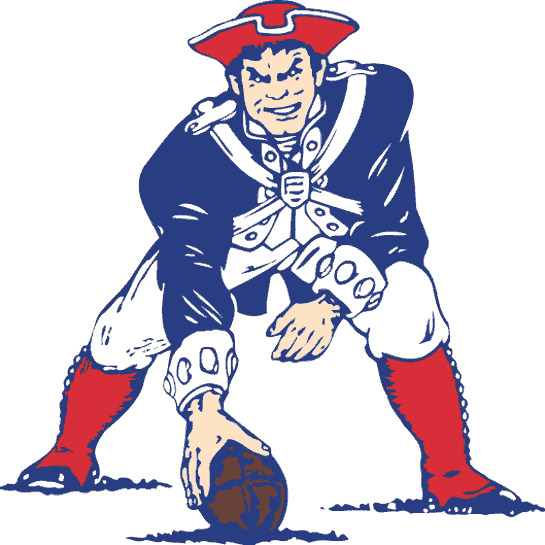 PatriotsFanXLIX