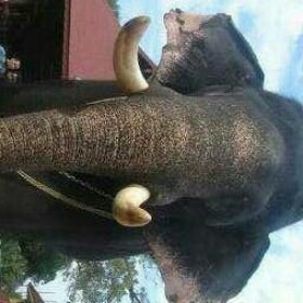 sajithkumar