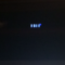 MrLi0n