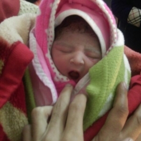Mohitsidana