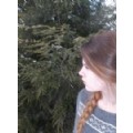 PinkSparkles125