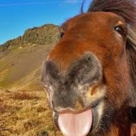 teehehehehe