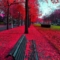Kareem_z21