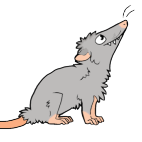 DrPOssumFreAK