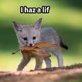 Yaeza