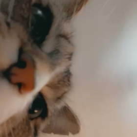 amyjoy03