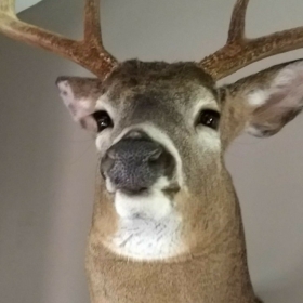 TheOneGoose