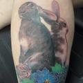 Cripple_Deaf_Bunny