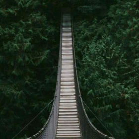 ThamesWalks