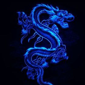 Dragonx217