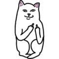 pretty-kitty